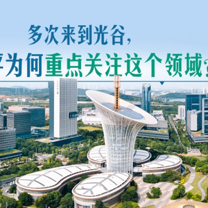 多次来到光谷，习近平为何重点关注这个领域？