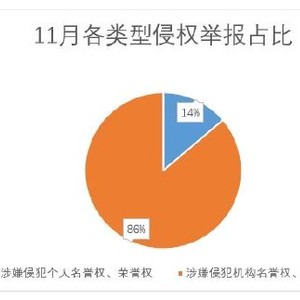 新浪网2024年11月网络人格侵权举报受理公示