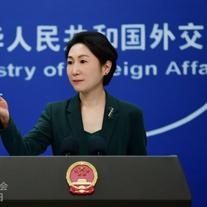 2024年11月25日外交部发言人毛宁主持例行记者会