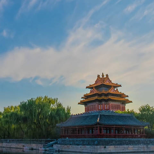 时习之丨心驰神往 跟总书记一起感受中华文明之美