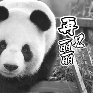 生活在杭州的大熊猫“丽丽”因病抢救无效死亡