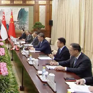 独家视频丨习近平：中新两国树立了合作互利共赢的生动样板