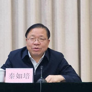 搞“七个有之”的秦如培，被逮捕