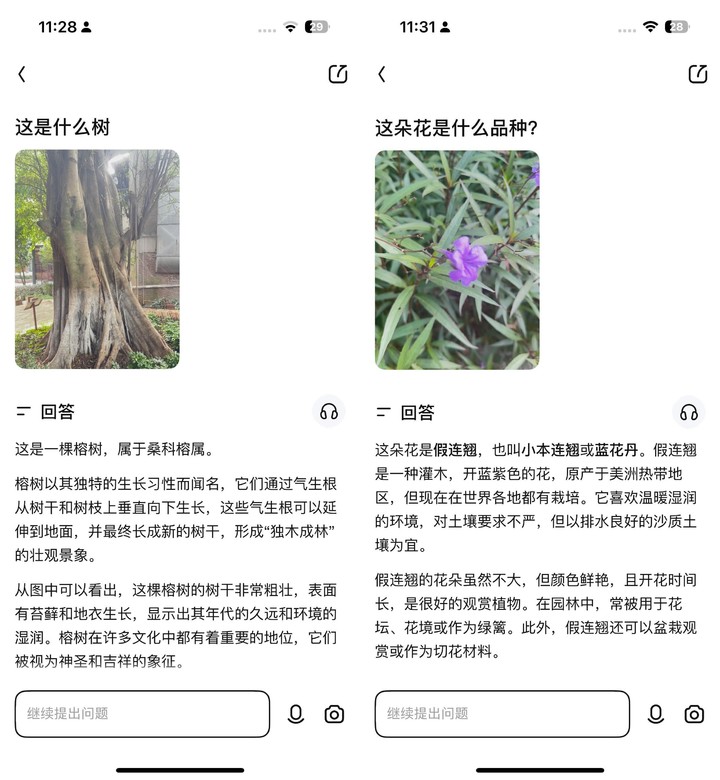 国行 iPhone 16 三步用上 AI，识图翻译样样精通，还能计算卡路里