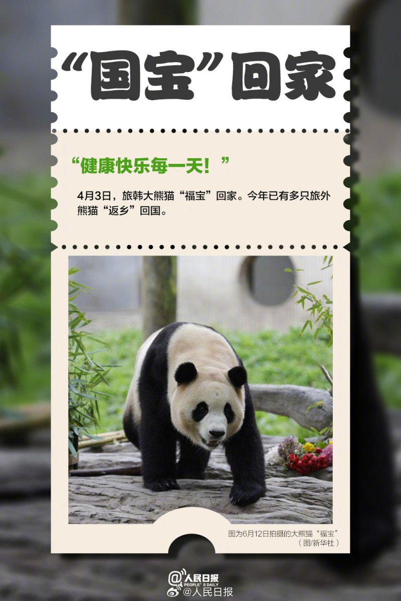 收藏！2024那些难忘的回家路