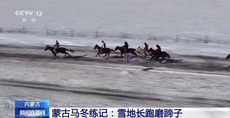跑马拾哈达、跑马射箭……冬日雪原赛马震撼场面来了