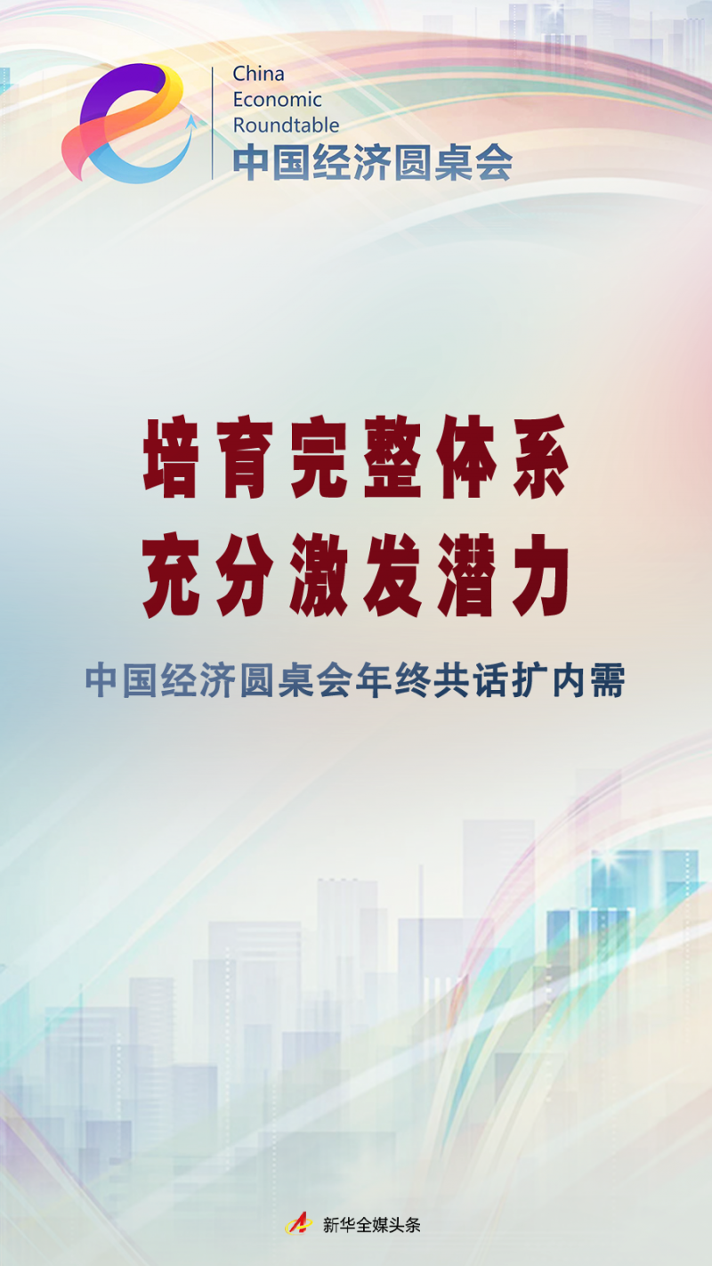 培育完整体系 充分激发潜力――中国经济圆桌会年终共话扩内需