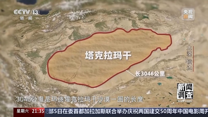 新闻调查丨如何给沙漠“锁边”？他们用双手筑起绿色屏障