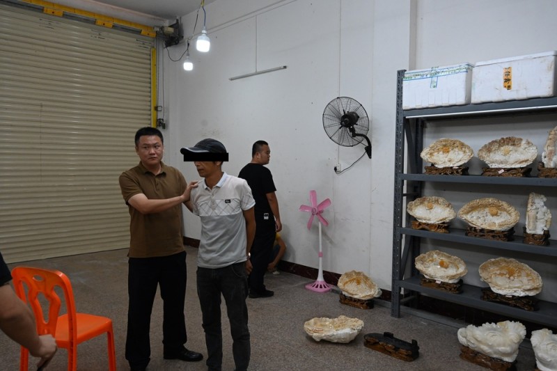 游客要“好货”牵出濒危动物制品黑市交易