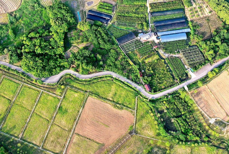 数说农村路丨我国“四好农村路”提出第十年 成功兑现这一承诺