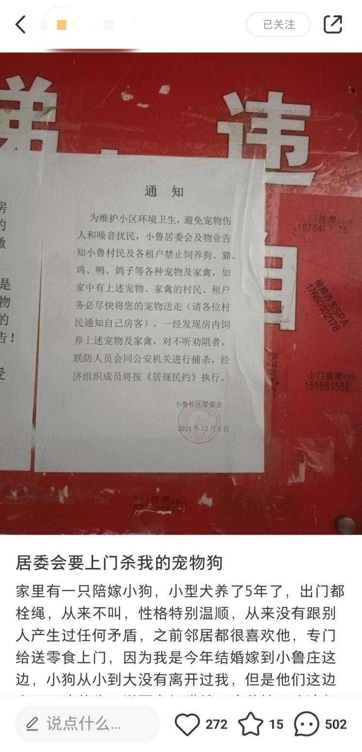 济南一社区发布“捕杀宠物家禽”通知惹争议  社区：系物业措辞不当，已撤掉