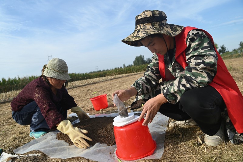 数说“土壤三普”丨采集样品311万份  第三次全国土壤普查完成国家级数据库搭建