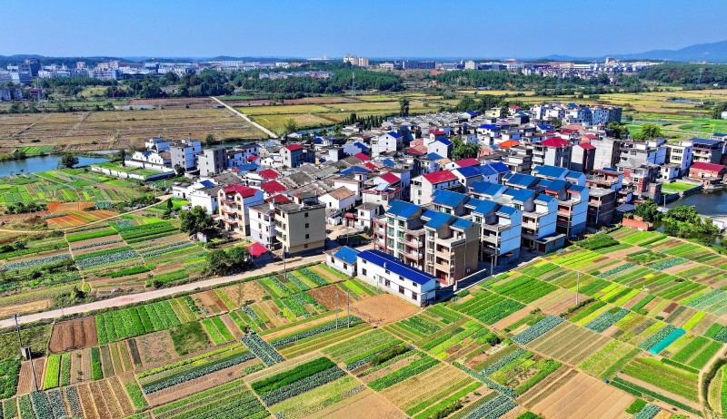 2025中国经济关键词丨中央经济工作会议提出“统筹推进新型城镇化和乡村全面振兴”  有何深意？