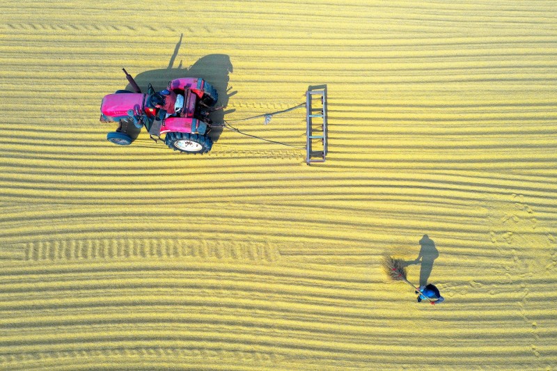 2025中国经济关键词丨耕地与粮食保供工作推进更加聚焦  维护农业长期可持续发展