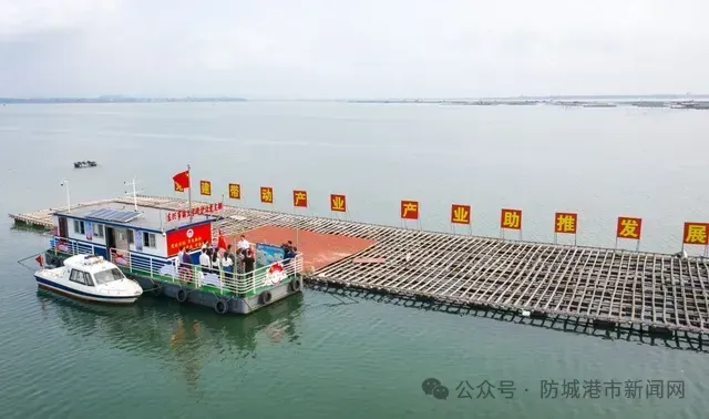 心手相牵画出最大同心圆