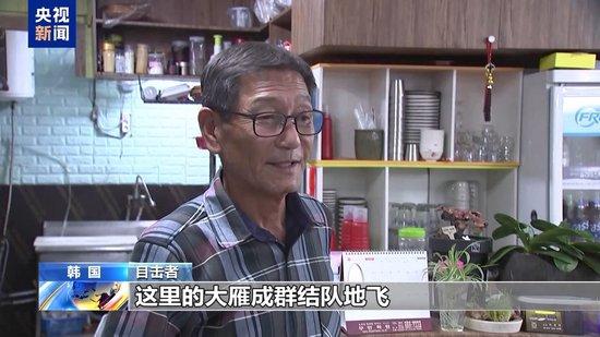 韩国客机失事目击者回忆:曾听到多次爆炸声 客机或遭大雁撞击