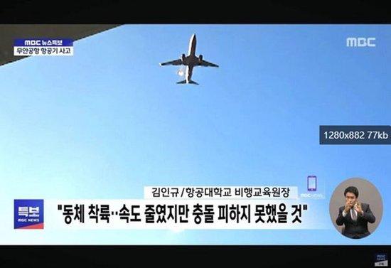 鸟击导致韩国客机事故?航空专家质疑