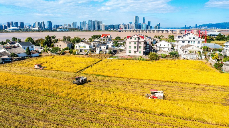 揭秘！粮食总产首突破1.4万亿斤背后的“水利力量”