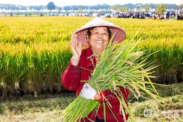 【牢记嘱托 答好强富美高新答卷】奋楫扬帆 破浪争先