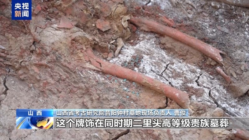 夏商文明考古重大突破！“考古中国”最新进展一次看过瘾→