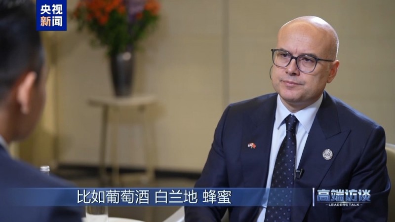 高端访谈丨专访塞尔维亚总理武切维奇