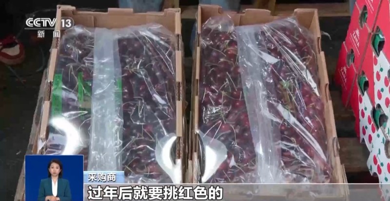 各地过年“花样”多 提前感受春节“年味儿”