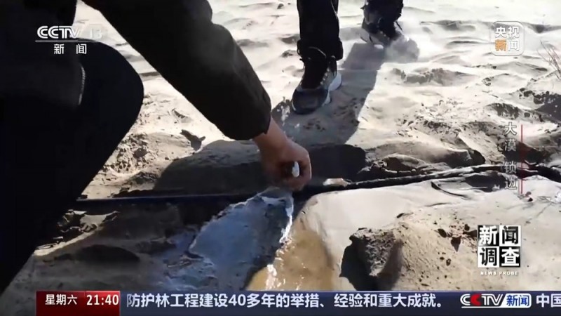 新闻调查丨如何给沙漠“锁边”？他们用双手筑起绿色屏障