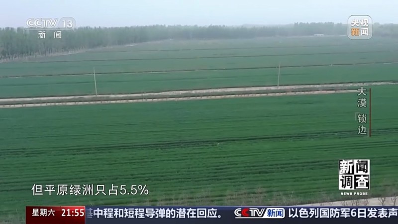 新闻调查丨如何给沙漠“锁边”？他们用双手筑起绿色屏障