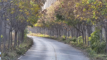 2024“三农”观察丨造福农村“幸福路” 兴业富民美乡村