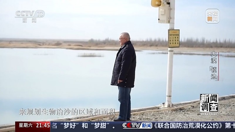 新闻调查丨如何给沙漠“锁边”？他们用双手筑起绿色屏障