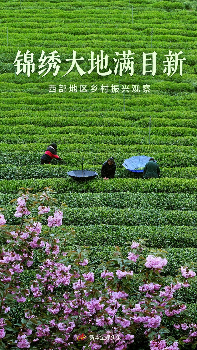锦绣大地满目新――西部地区乡村振兴观察