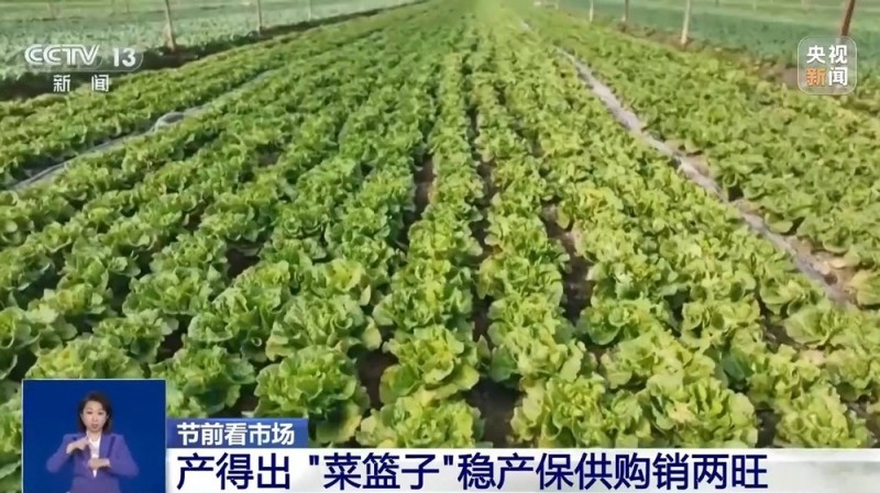 双节临近 各地“菜篮子”准备好了吗？