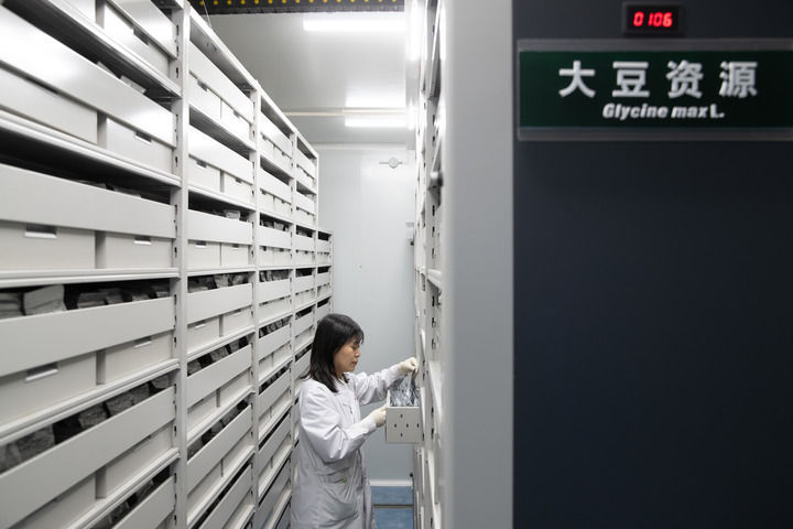 当好国家粮食安全“压舱石”――“北大仓”的丰收密码