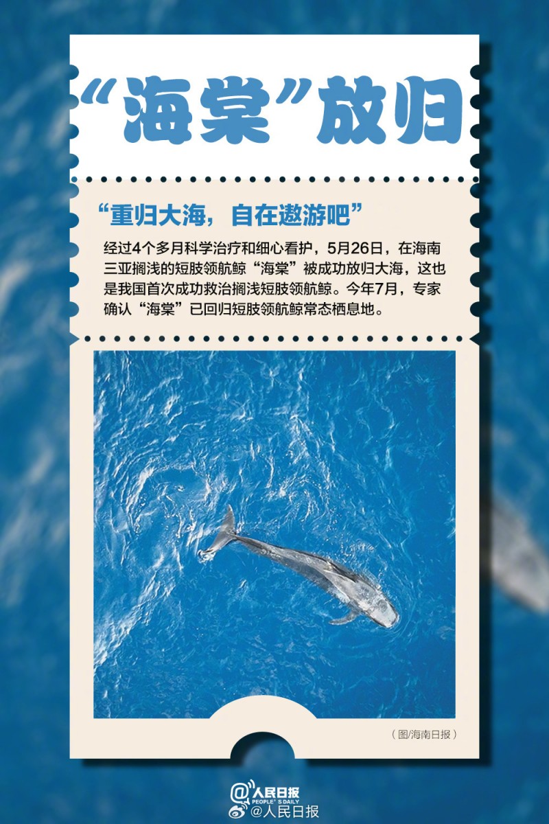收藏！2024那些难忘的回家路