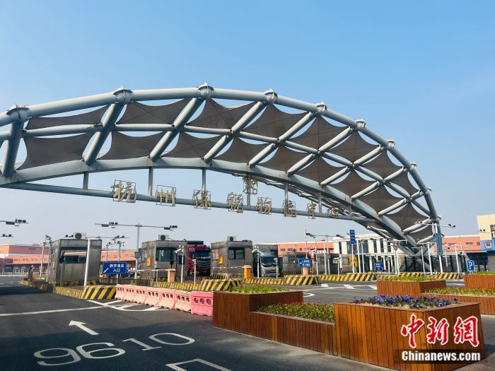 “一带一路”金枢纽 | 外籍达人打卡跨境电商物流仓 “这就是中国速度！”
