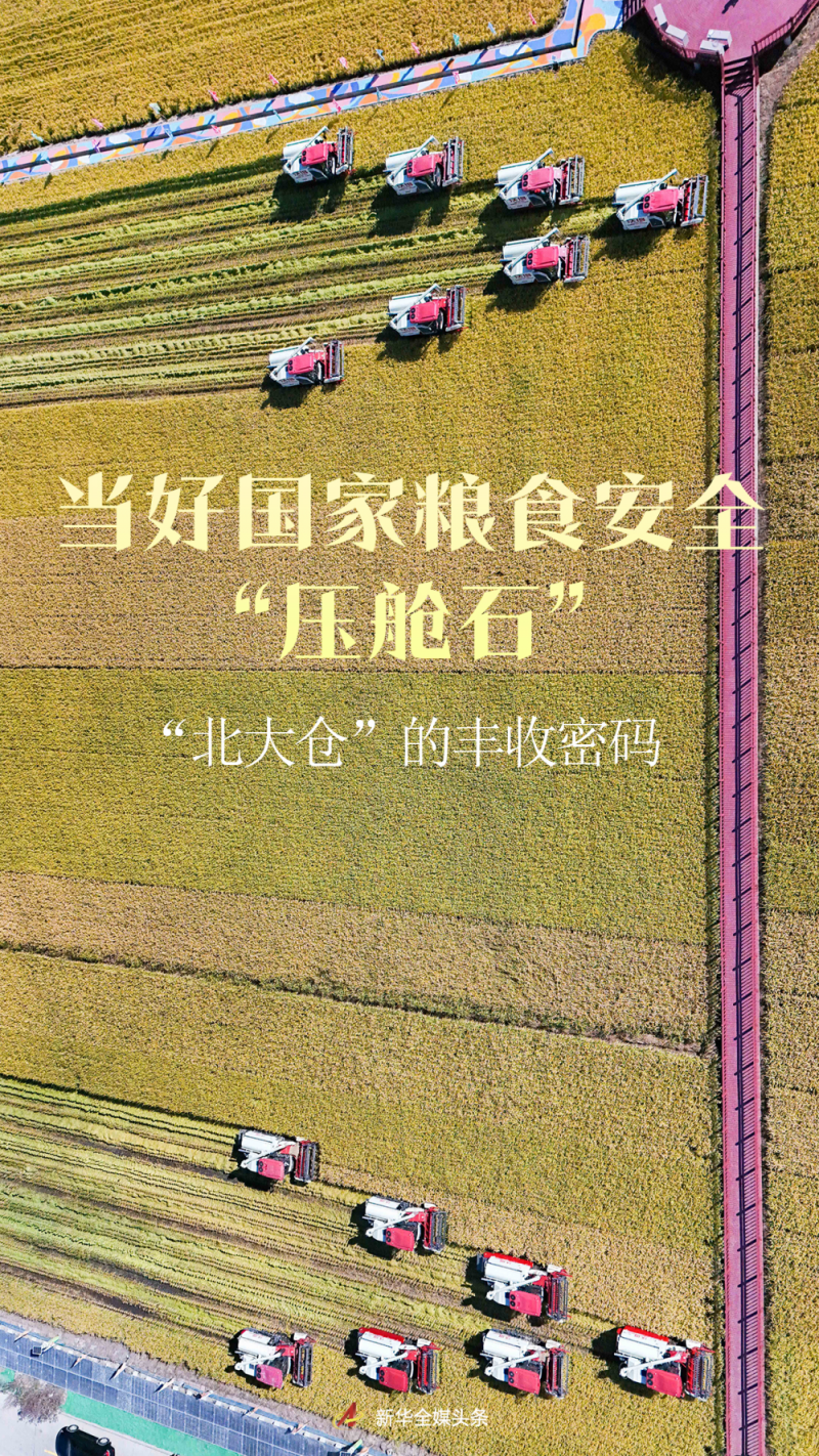 当好国家粮食安全“压舱石”――“北大仓”的丰收密码