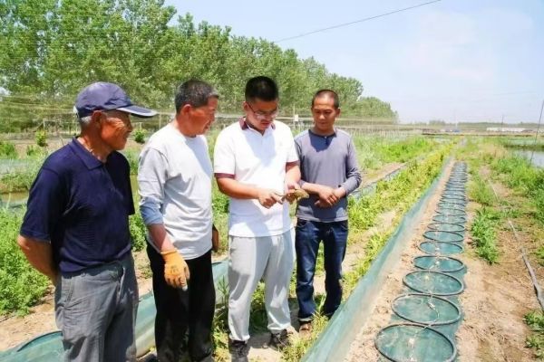 【好评中国・追光青年】“兴村新锐”为乡村发展注入青春动能
