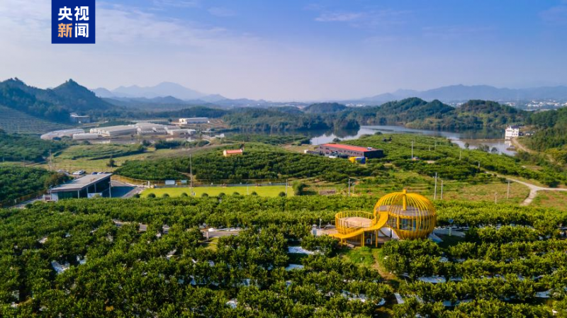 高质量发展调研行丨“山香野果”的“涅”重生