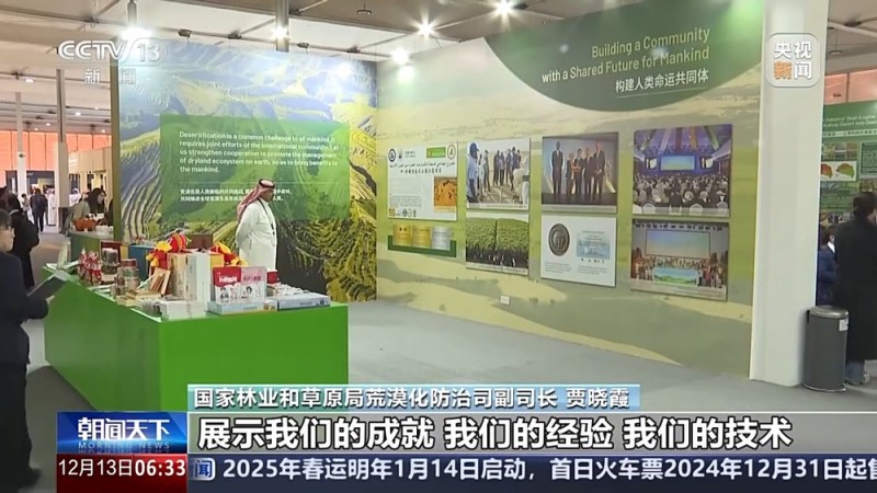 人工林面积居世界首位中国已成为全球增绿贡献最大国家