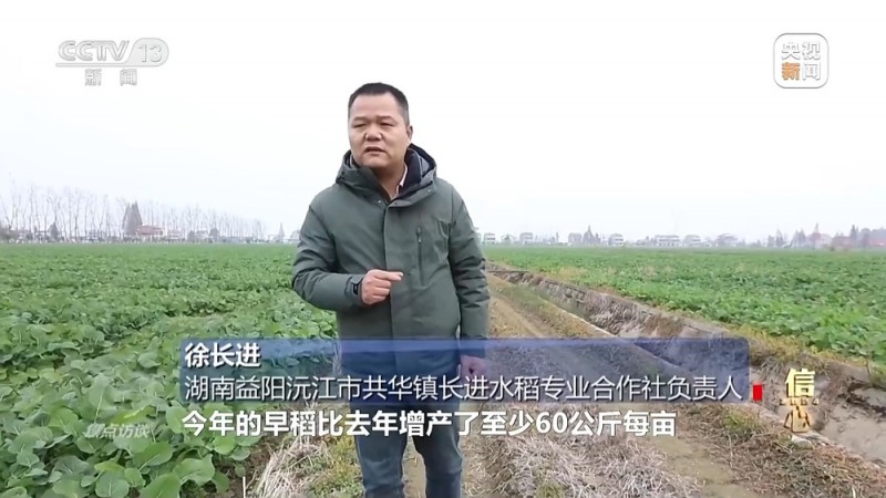 焦点访谈丨丰收色彩浓！农业跑出加速度 把中国饭碗牢牢端住