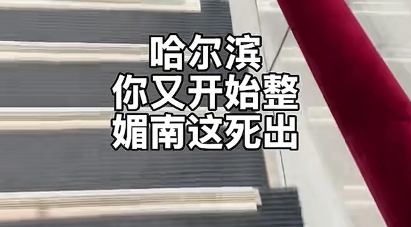 天一冷就「放大招」，尔滨，你是真懂！