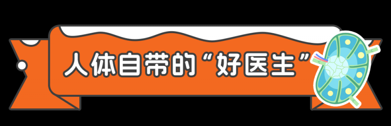 总台周末看点丨团团圆圆，冬至福至！