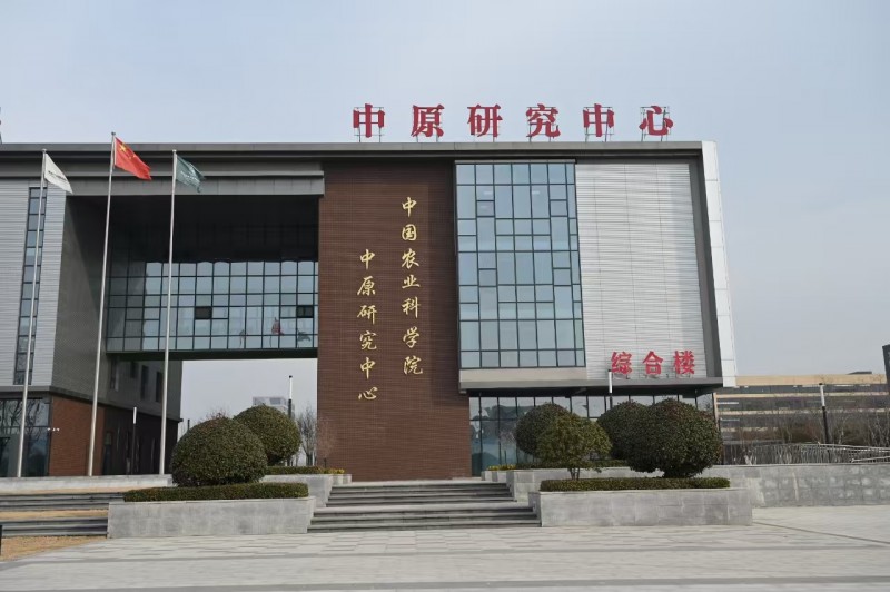 高质量发展调研行｜河南中原农谷：一粒种子，无限生机