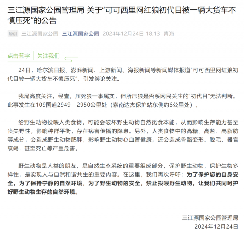 压死狼属实！三江源国家公园再呼吁：禁止投喂！