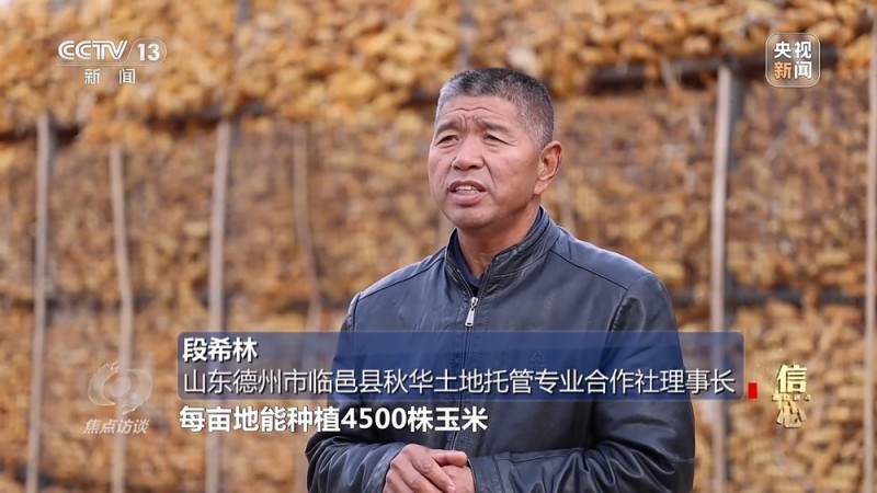 焦点访谈丨丰收色彩浓！农业跑出加速度 把中国饭碗牢牢端住