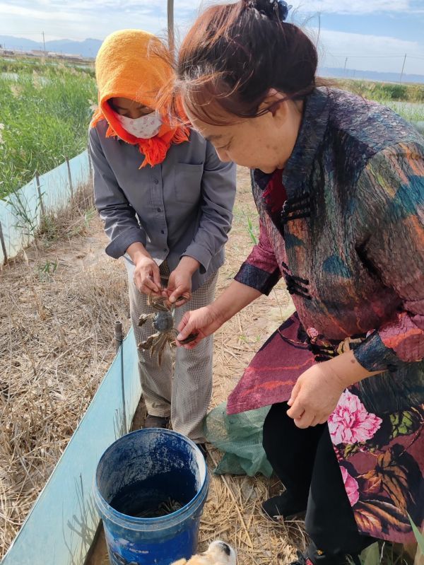 【好评中国・追光青年】“鸿雁”北飞 青春有为