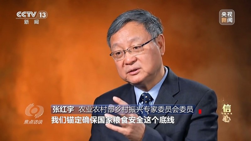 焦点访谈丨丰收色彩浓！农业跑出加速度 把中国饭碗牢牢端住
