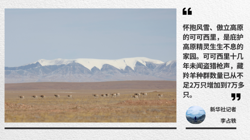 走！青藏线｜一路拾光到可可西里