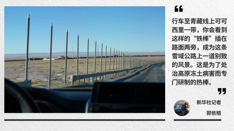 走！青藏线｜一路拾光到可可西里
