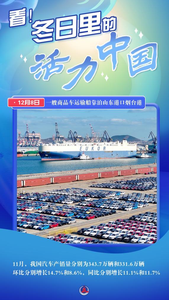 新华全媒+丨看！冬日里的活力中国